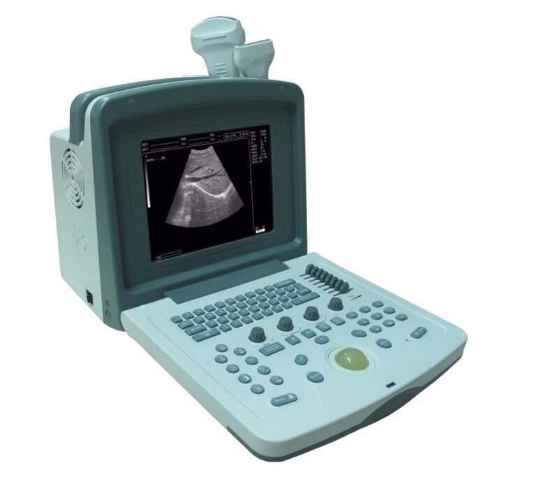 Veterinary Digital Ultrasound Scanner w/ Two Connectors, Low price, Good quality DIAGNOSTIC ULTRASOUND MACHINES FOR SALE