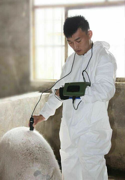 Veterinary Ultrasound MSU1 Plus - For Pigs, Sheep, Goats DIAGNOSTIC ULTRASOUND MACHINES FOR SALE