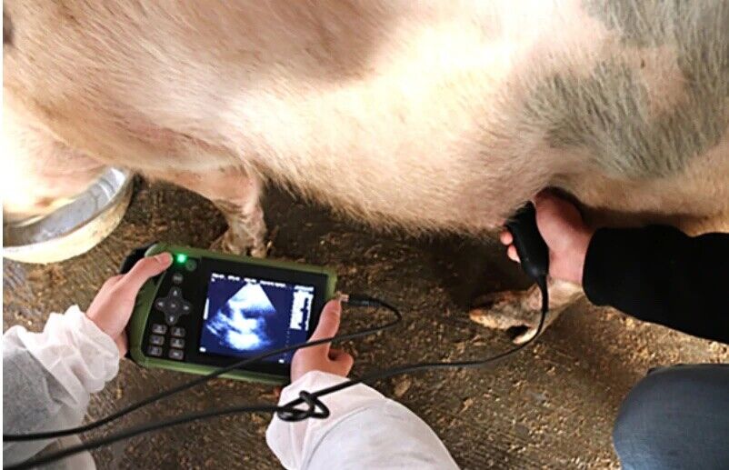 ECO-11Vet Farm Animal Ultrasound For Dogs, Pigs, Sheep,Goats with Sector probe DIAGNOSTIC ULTRASOUND MACHINES FOR SALE