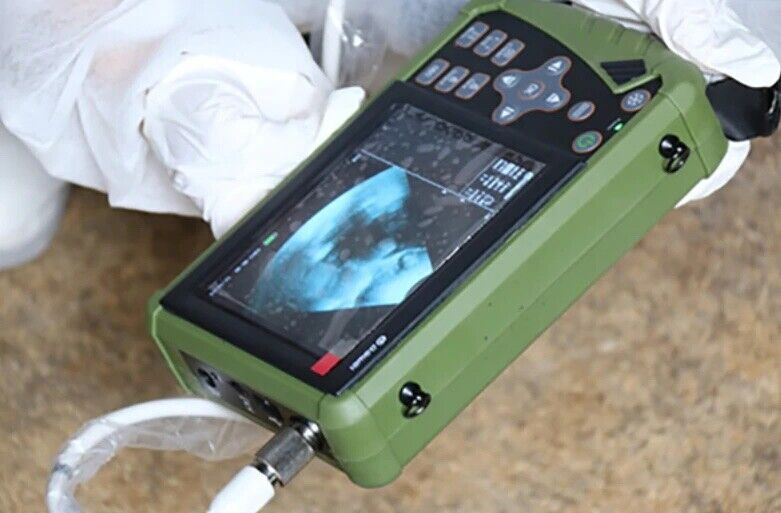 ECO-11Vet Farm Animal Ultrasound For Dogs, Pigs, Sheep,Goats with Sector probe DIAGNOSTIC ULTRASOUND MACHINES FOR SALE