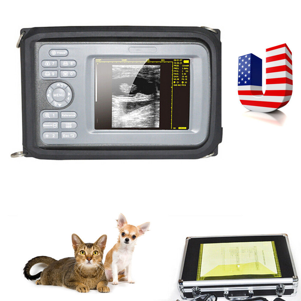 USA Vet Digital PalmSmart Ultrasound Scanner w Animal Rectal Probe Cow Horse New 190891425119 DIAGNOSTIC ULTRASOUND MACHINES FOR SALE