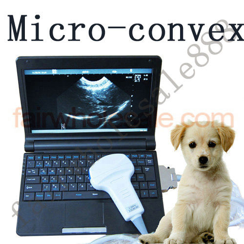 Veterinary Digital Laptop Ultrasound Scanner Machine Vet with Micro-convex Probe 190891457509 DIAGNOSTIC ULTRASOUND MACHINES FOR SALE