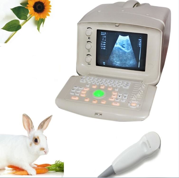 Top Veterinary Portable Ultrasound Scanner Machine +5.0 Micro-Convex Probe +3D 190891655943 DIAGNOSTIC ULTRASOUND MACHINES FOR SALE