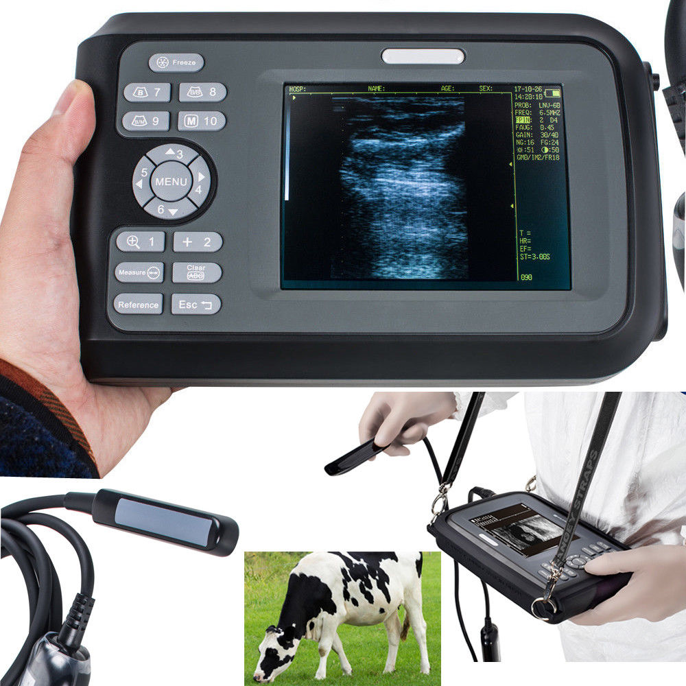 US Veterinary ultrasound scanner Machine Animal Pregnancy Rectal Probe Clear New DIAGNOSTIC ULTRASOUND MACHINES FOR SALE