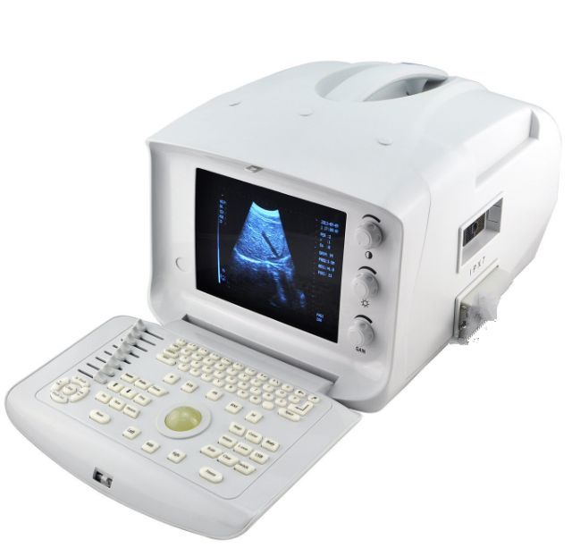 Gift 3D Vet Veterinary Digital Ultrasound Scanner Monitor Micro-Convex Probe USB DIAGNOSTIC ULTRASOUND MACHINES FOR SALE