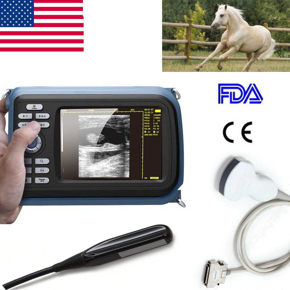 Veterinary Digital Palmtop Ultrasound Scanner Rectal Probe +Convex Probe &Case 190891470102 DIAGNOSTIC ULTRASOUND MACHINES FOR SALE