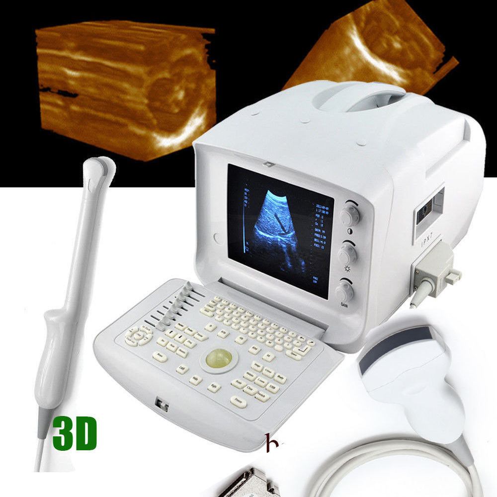 Free 3D Ultrasound Scanner Machine Convex Abdomen &Transvaginal Gynecology Probe 190891464798 DIAGNOSTIC ULTRASOUND MACHINES FOR SALE