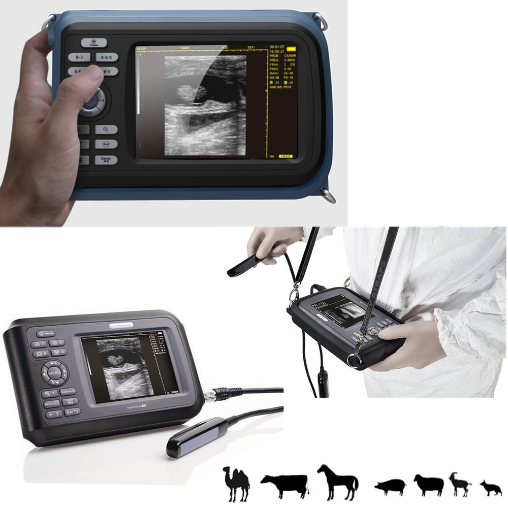 V8 model LCD Veterinary handheld palm ultrasound scanner Animal + rectal Probe 190891043399 DIAGNOSTIC ULTRASOUND MACHINES FOR SALE