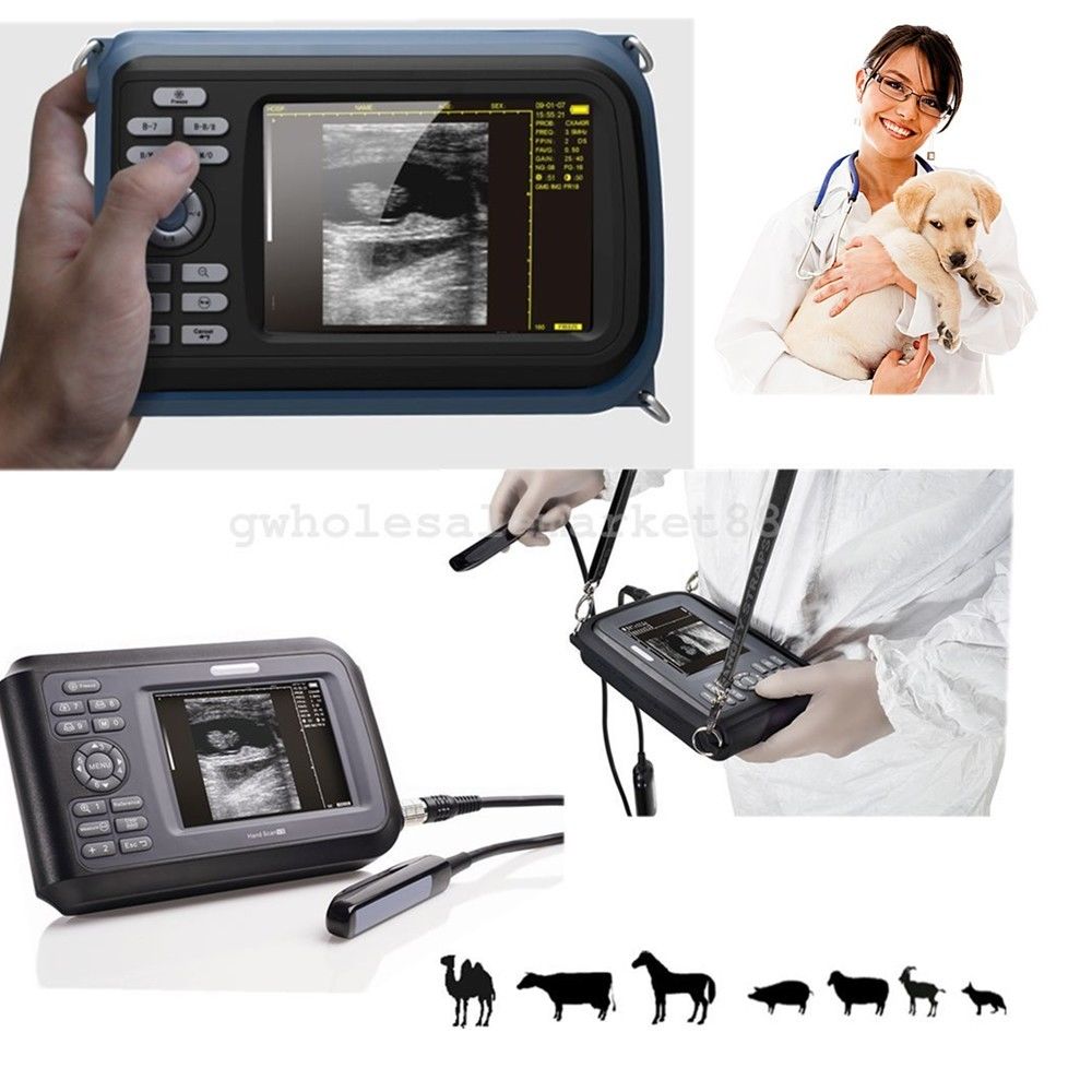 USA! Veterinary Handheld Machine Ultrasound Scanner horse/Animal,Rectal Probe CE DIAGNOSTIC ULTRASOUND MACHINES FOR SALE