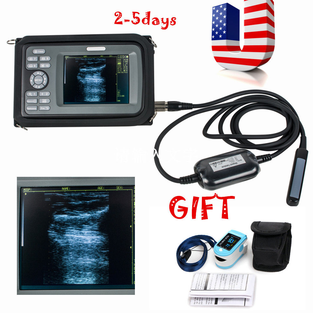 USA Handheld Digital Ultrasound Scanner Rectal Probe Animal Vet Horse Cow Farmer 190891791986 DIAGNOSTIC ULTRASOUND MACHINES FOR SALE