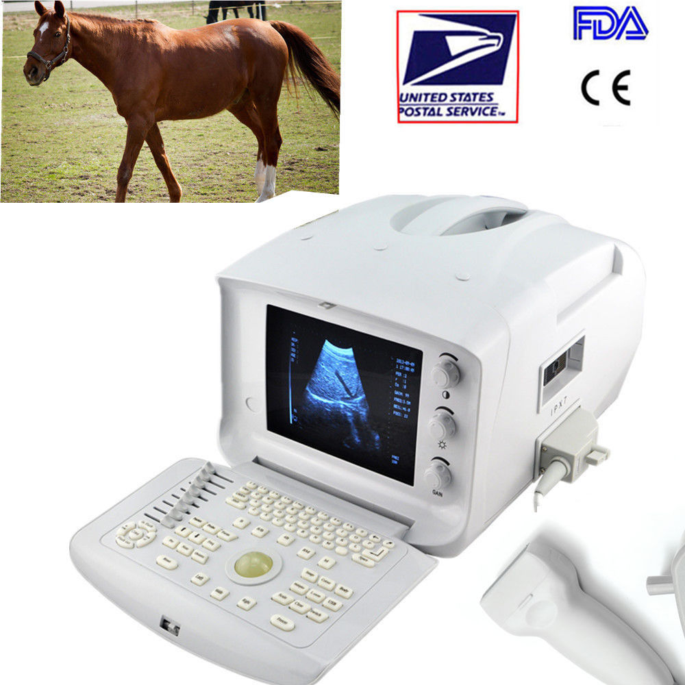 Veterinary Ultrasound Scanner Machine 7.5Mhz Linear Probe Free 3D module CE Sale 190891496096 DIAGNOSTIC ULTRASOUND MACHINES FOR SALE