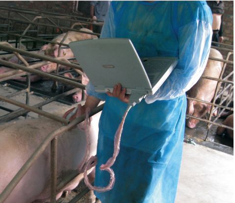 KX5000V Veterinary Laptop Ultrasound, Large Animal, Bovine, Horse | KeeboMed DIAGNOSTIC ULTRASOUND MACHINES FOR SALE