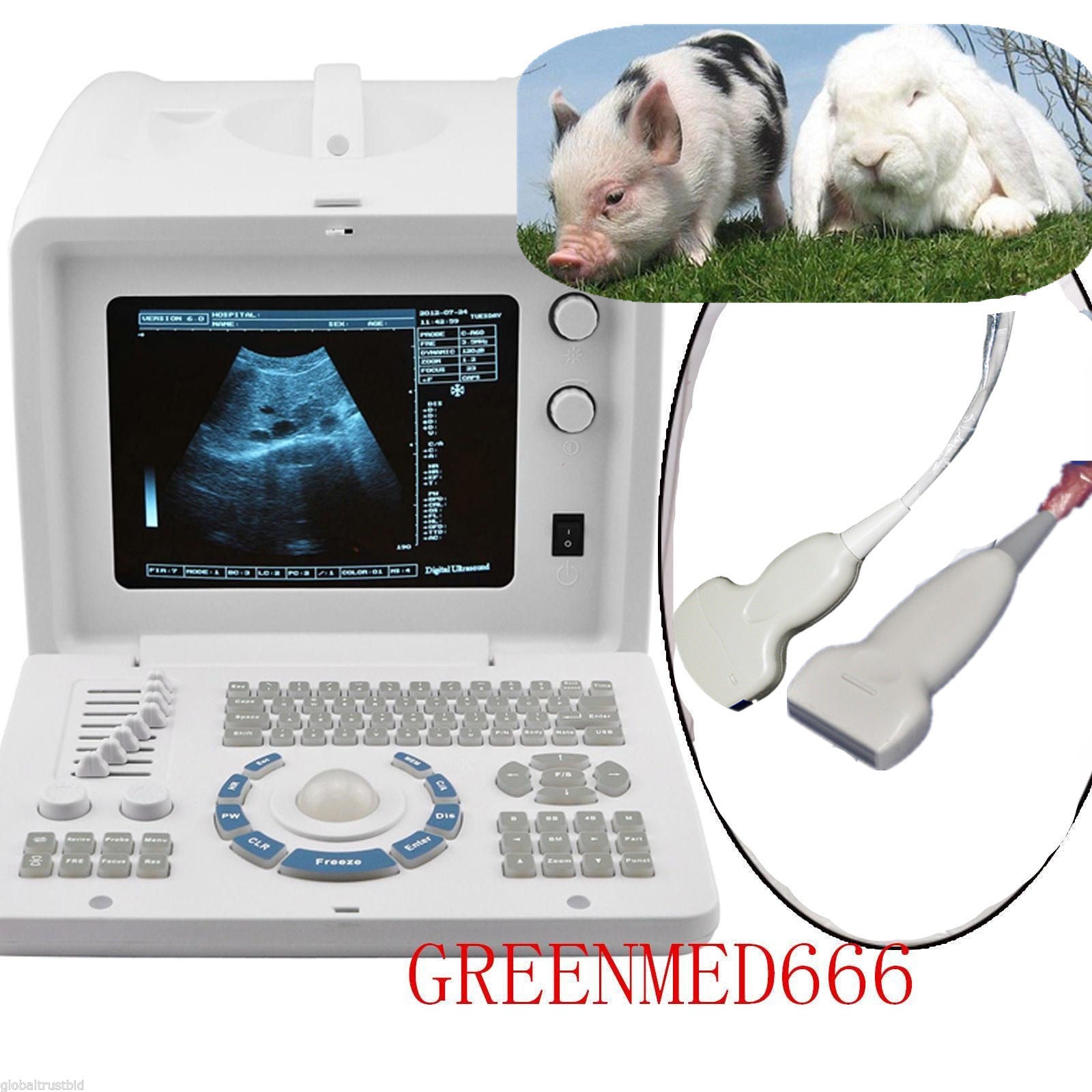 Veterinary Convex Linear Probe VET Ultrasound Scanner Machine 3D Animal Pregnant DIAGNOSTIC ULTRASOUND MACHINES FOR SALE