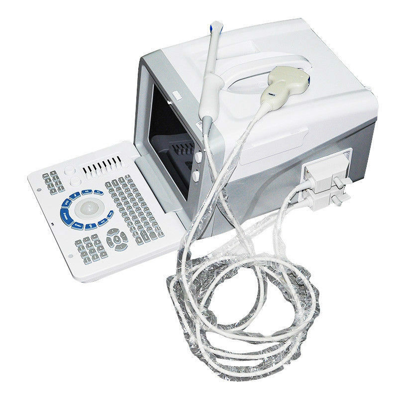 Ultrasound Scanner Machine Convex +Transvaginal 2 Probe 3D Pregnancy USB VGA New 190891422446 DIAGNOSTIC ULTRASOUND MACHINES FOR SALE