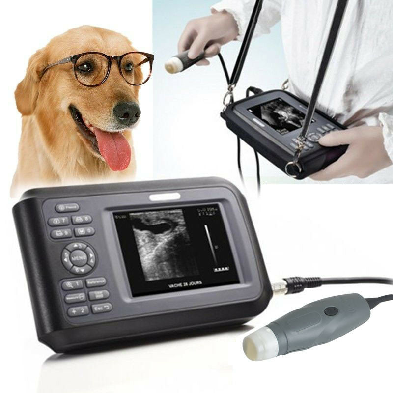 Vet Portable Veterinary Ultrasound Scanner Machine Sector Probe Pregnancy Animal DIAGNOSTIC ULTRASOUND MACHINES FOR SALE