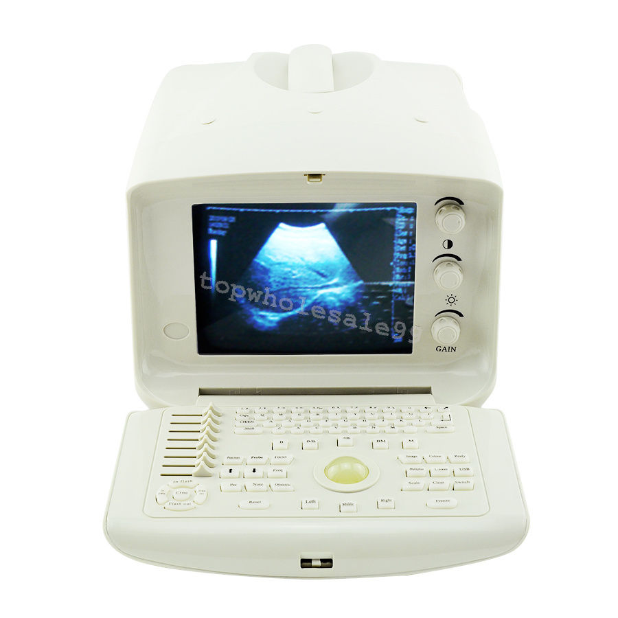 Veterinary Digital LCD Ultrasound Scanner+3D Software+convex+Micro-convex probe DIAGNOSTIC ULTRASOUND MACHINES FOR SALE