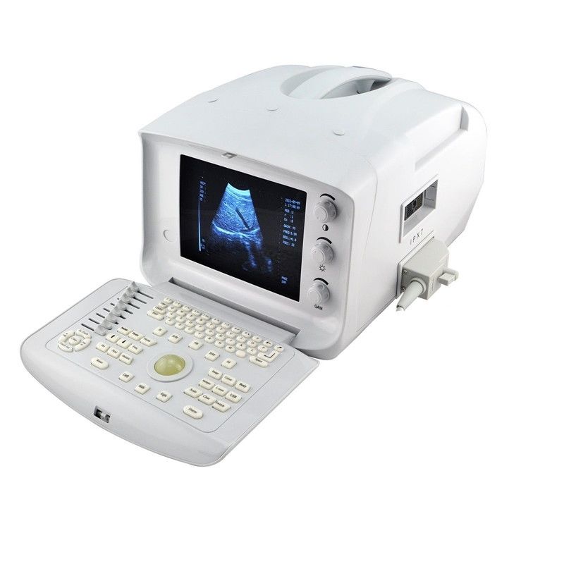 Free 3D 10.1" Ultrasound Scanner machine Curve+Transvaginal 2 Probes CE Sale 190891635853 DIAGNOSTIC ULTRASOUND MACHINES FOR SALE