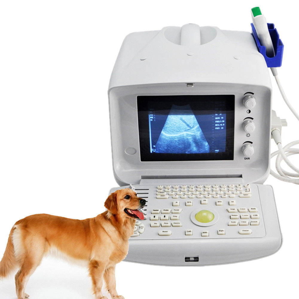 Veterianry Animal Ultrasound Scanner 3.5Mhz Convex Probe+3D abdomen Exam Pet Pig DIAGNOSTIC ULTRASOUND MACHINES FOR SALE