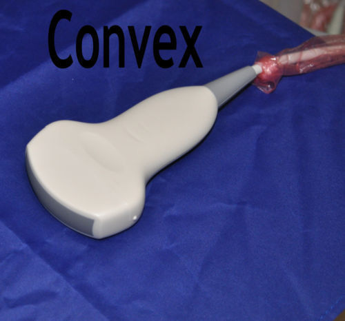 Convex&Transvaginal Probe Digital Portable Ultrasound Scanner 3D Hospital Use CE 190891713803 DIAGNOSTIC ULTRASOUND MACHINES FOR SALE