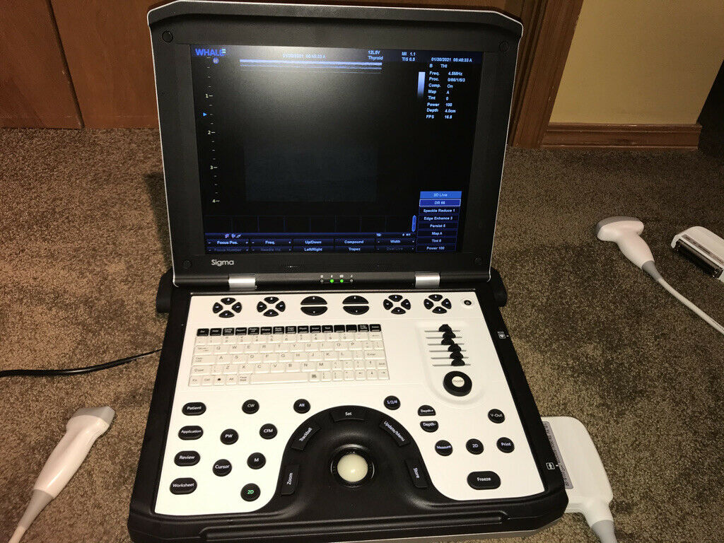 Whale Imaging Ultrasound Machine DIAGNOSTIC ULTRASOUND MACHINES FOR SALE