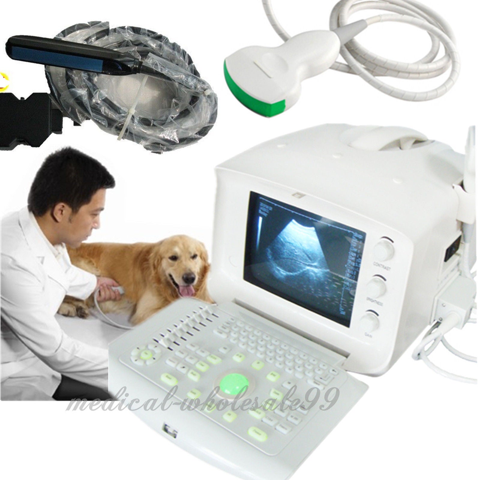 Vet Ultrasound Scanner/Machine Convex+Vet Rectal Probes Animals Pregnancy 3D  190891815767 DIAGNOSTIC ULTRASOUND MACHINES FOR SALE