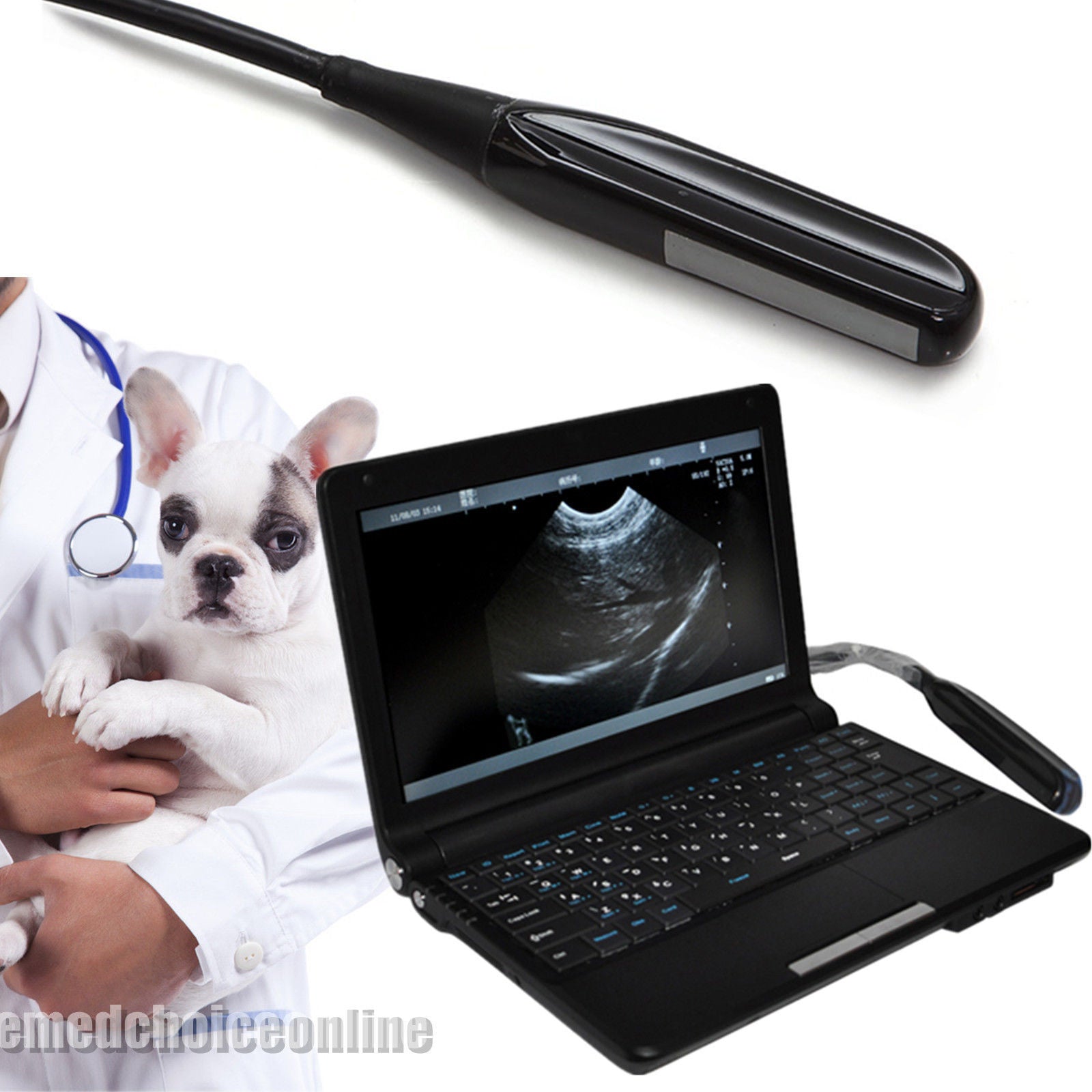 Veterinary Digital Laptop Ultrasound Scanner Animal Machine 6.5M Rectal Probe CE DIAGNOSTIC ULTRASOUND MACHINES FOR SALE