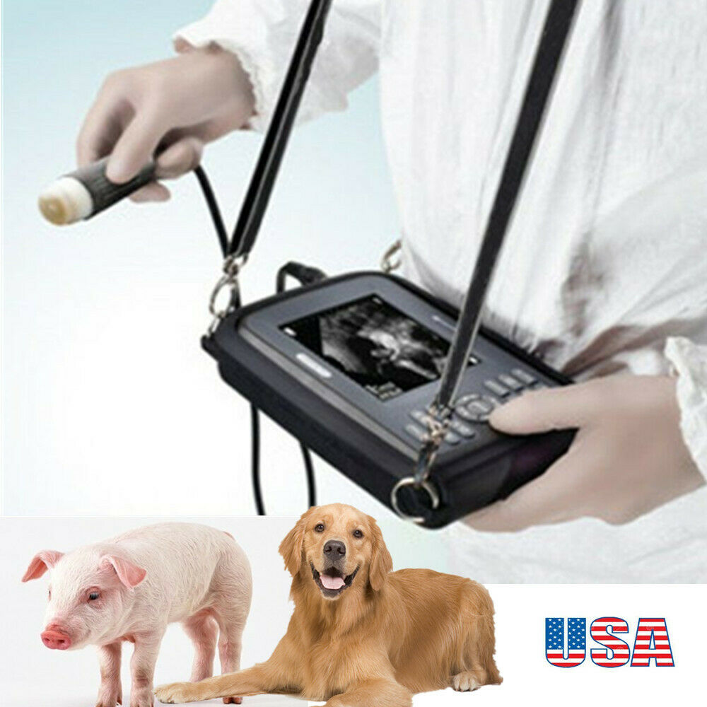 Vet Portable Ultrasound Scanner Machine Handheld Pregnancy Animal Veterinary AC DIAGNOSTIC ULTRASOUND MACHINES FOR SALE