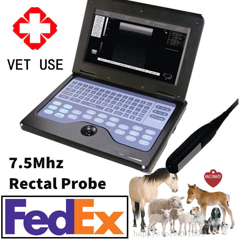 US Veterinary equine& Bovine Ultrasound Scanner 7.5M Rectal Probe VET  laptop CE 658126921220 DIAGNOSTIC ULTRASOUND MACHINES FOR SALE