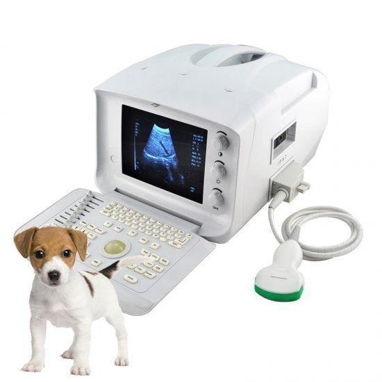 veterinarian B Ultrasound Scanner Machine  Micro-convex Array Probe Animals 3D 190891743565 DIAGNOSTIC ULTRASOUND MACHINES FOR SALE