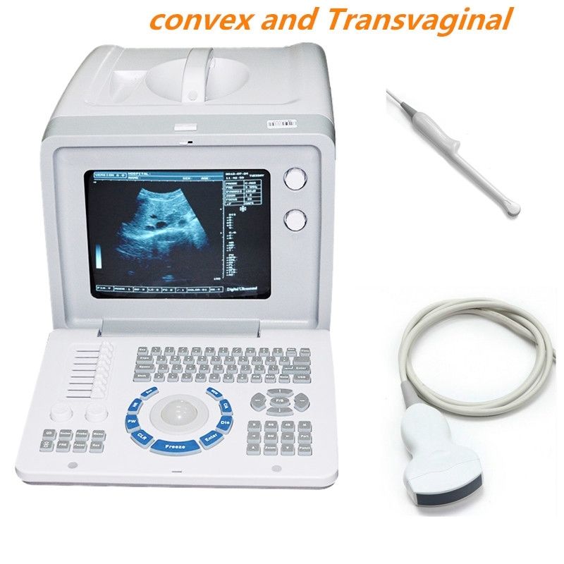 Full Digital Ultrasound Machine Covex+Transvaginal Probe 3D 2 CONNECTORS 6000D DIAGNOSTIC ULTRASOUND MACHINES FOR SALE