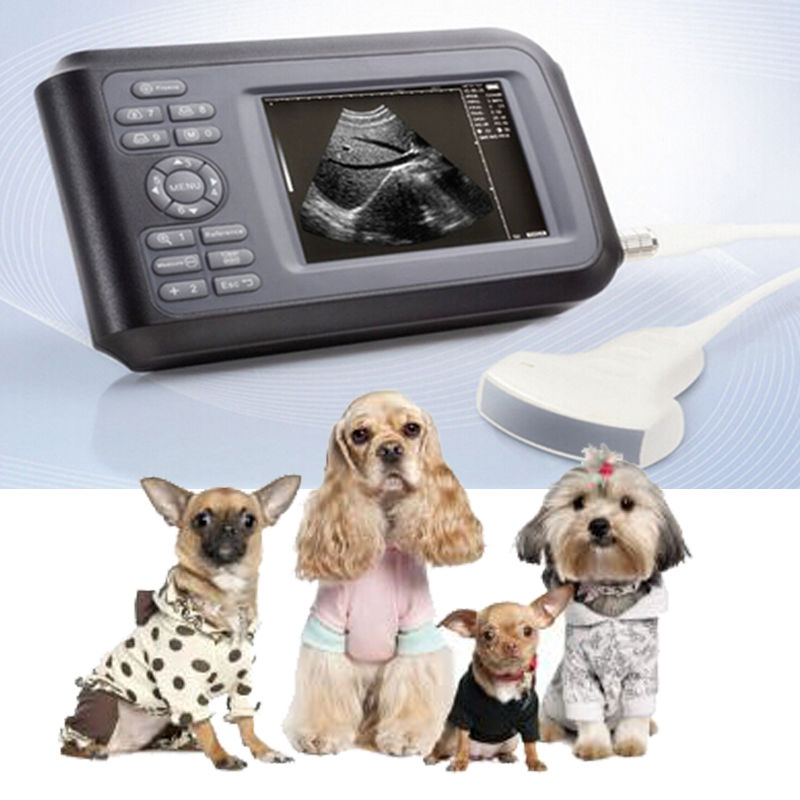 TFT color LCD PalmSmart Ultrasound Scanner with R50/3.5MHz Convex Probe Handscan DIAGNOSTIC ULTRASOUND MACHINES FOR SALE