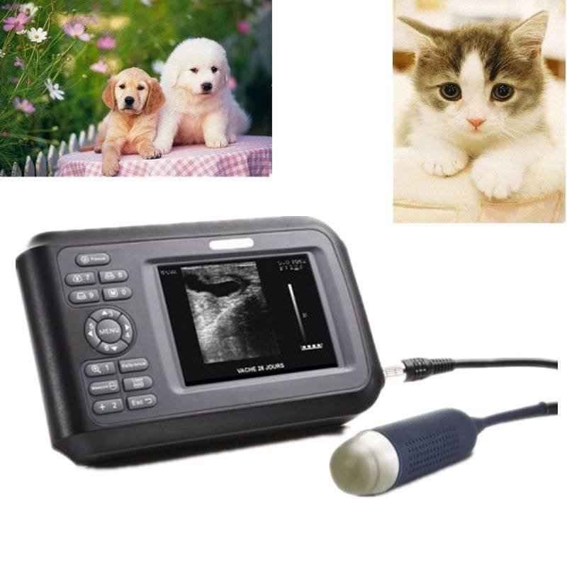 Portable Veterinary Ultrasound Scanner 3.5Mhz Rectal Transducer US Wareshouse 190891468284 DIAGNOSTIC ULTRASOUND MACHINES FOR SALE