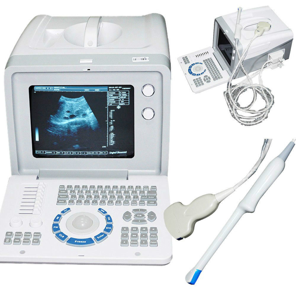 Ultrasound Scanner Machine Convex +Transvaginal 2 Probe 3D Pregnancy Medical New DIAGNOSTIC ULTRASOUND MACHINES FOR SALE