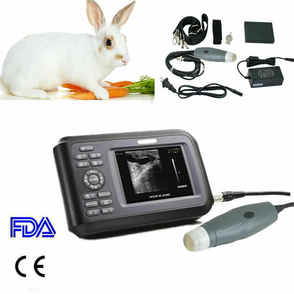 US Veterinary Ultrasound Scanner Machine for Pregnancy Animals Cat/Gog/Horse/Pig DIAGNOSTIC ULTRASOUND MACHINES FOR SALE