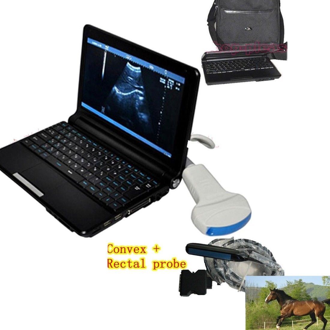 Vet Animal Veterinary Ultrasound Scanner Machine Convex + Rectal Probe 3D Cows 190891941893 DIAGNOSTIC ULTRASOUND MACHINES FOR SALE