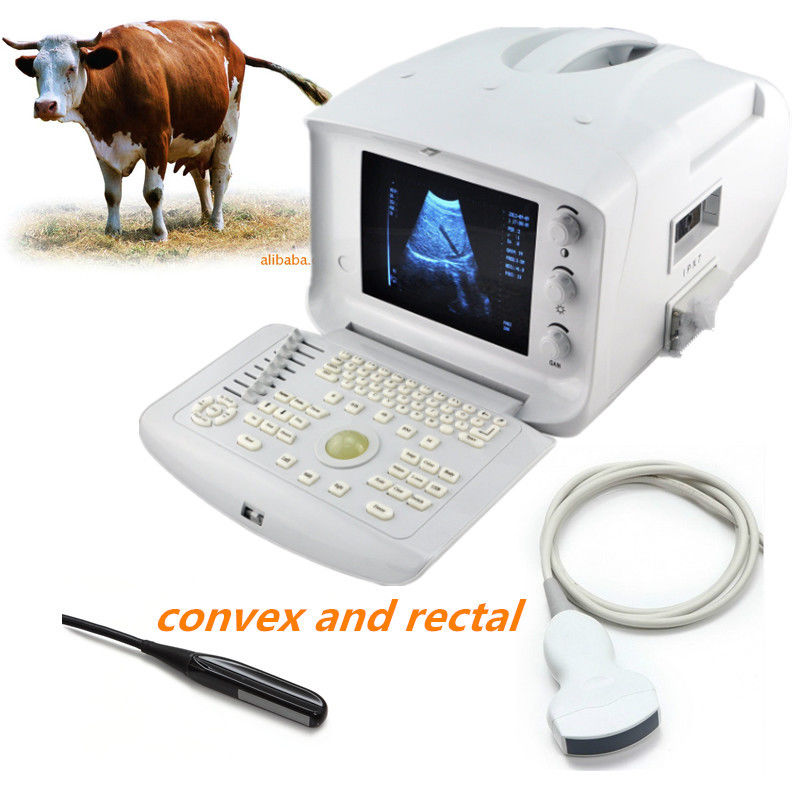 Top Veterinary Vet Ultrasound Scanner Rectal Probe Convex 3D Version Medical CE DIAGNOSTIC ULTRASOUND MACHINES FOR SALE