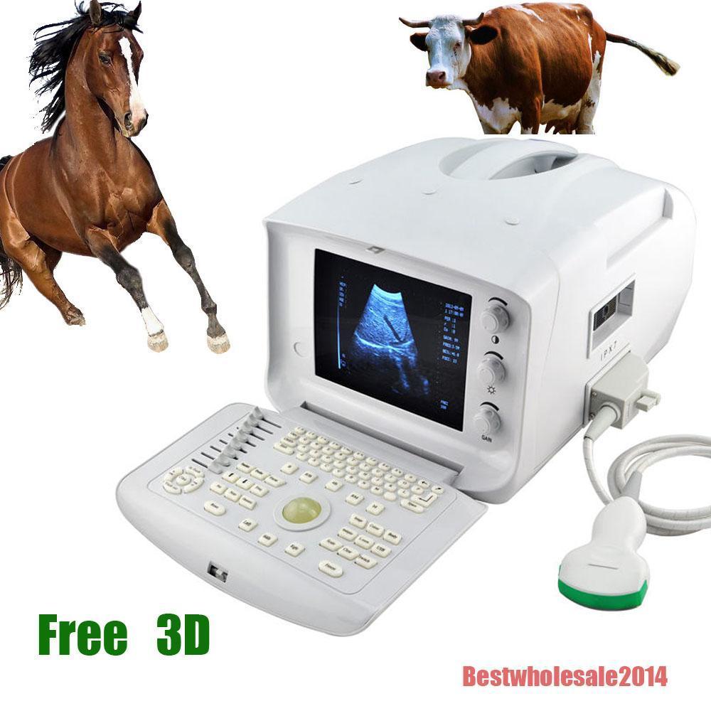 Vet Animal Ultrasound Scanner & Diagnostic Machine+Convex Probe Pregnancy 3D A+ 190891758941 DIAGNOSTIC ULTRASOUND MACHINES FOR SALE