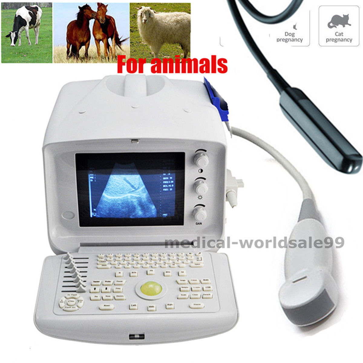 Veterinary Animal Ultrasound Scanner Machine Micro-Convex Rectal 2 Probe 3D Sale 190891541161 DIAGNOSTIC ULTRASOUND MACHINES FOR SALE