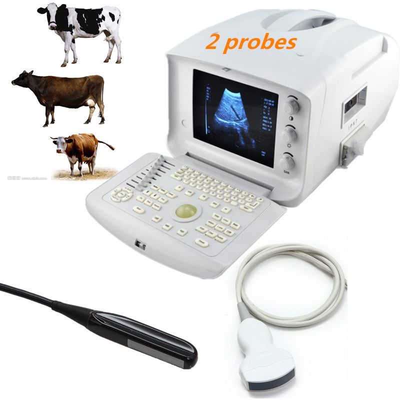 Top Veterinary Vet Ultrasound Scanner Rectal Probe Convex 3D Version Medical CE DIAGNOSTIC ULTRASOUND MACHINES FOR SALE