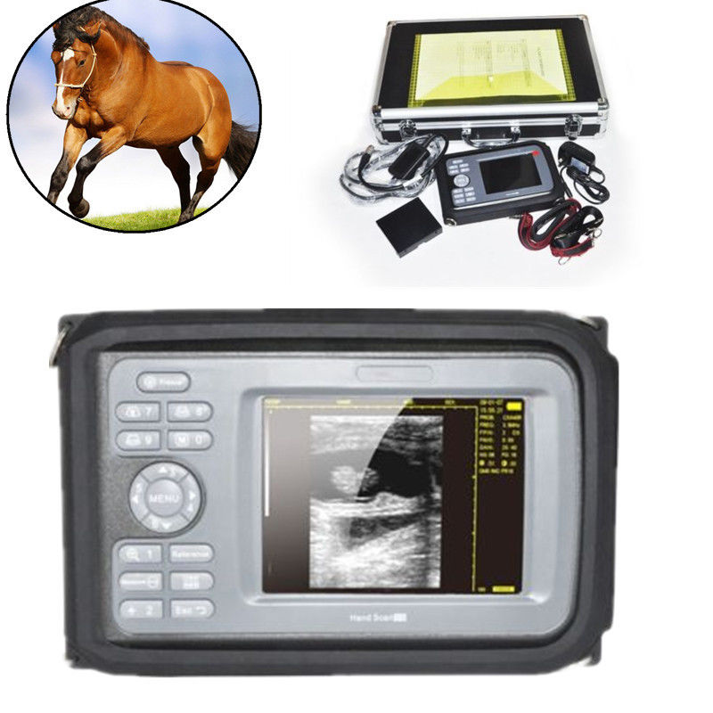 Vet 5.5'' Color Digital PalmSmart Ultrasound Scanner with Rectal Probe Medical DIAGNOSTIC ULTRASOUND MACHINES FOR SALE