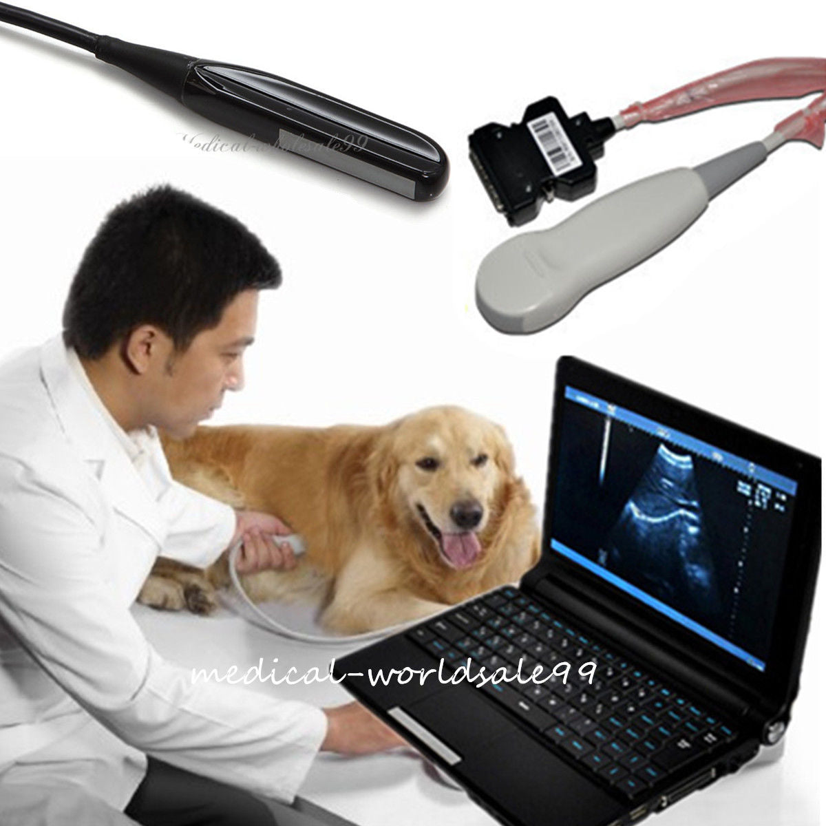 Veterinary Aminal Digital Laptop Ultrasound Scanner Machine Rectal Probe 3D Free 190891462343 DIAGNOSTIC ULTRASOUND MACHINES FOR SALE