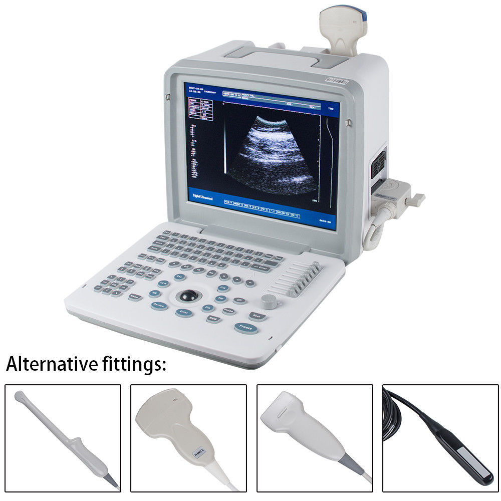 CE Veterinary Animals Ultrasound Scanner/Machine System + Linear Probe Livestock DIAGNOSTIC ULTRASOUND MACHINES FOR SALE