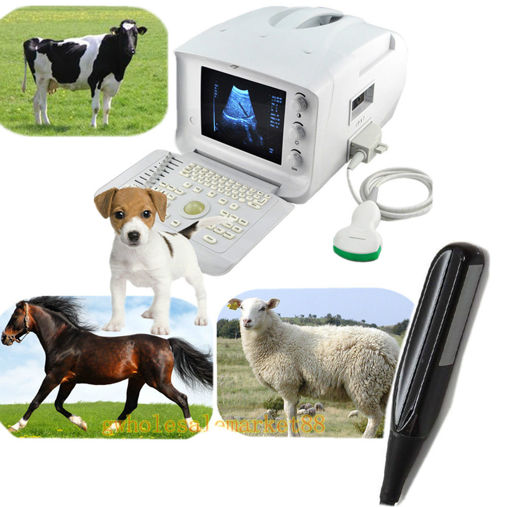 Vet Veterianry Ultrasound Scanner 3.5 Convex + 6.5M Rectal Probe + 3D Software DIAGNOSTIC ULTRASOUND MACHINES FOR SALE