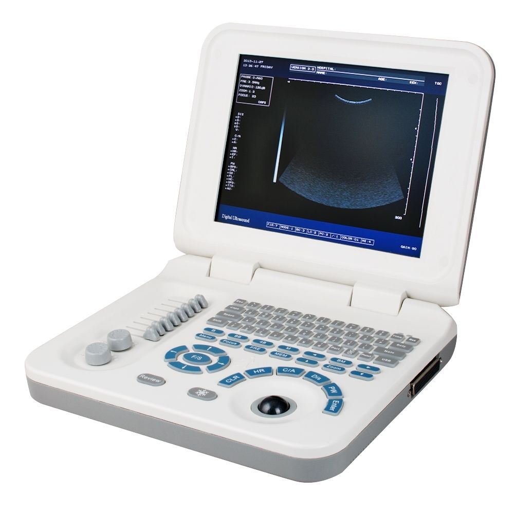 CE 10" Portable Ultrasound Scanner Machine + Micro-convex Probe +Bag DHL 190891786982 DIAGNOSTIC ULTRASOUND MACHINES FOR SALE