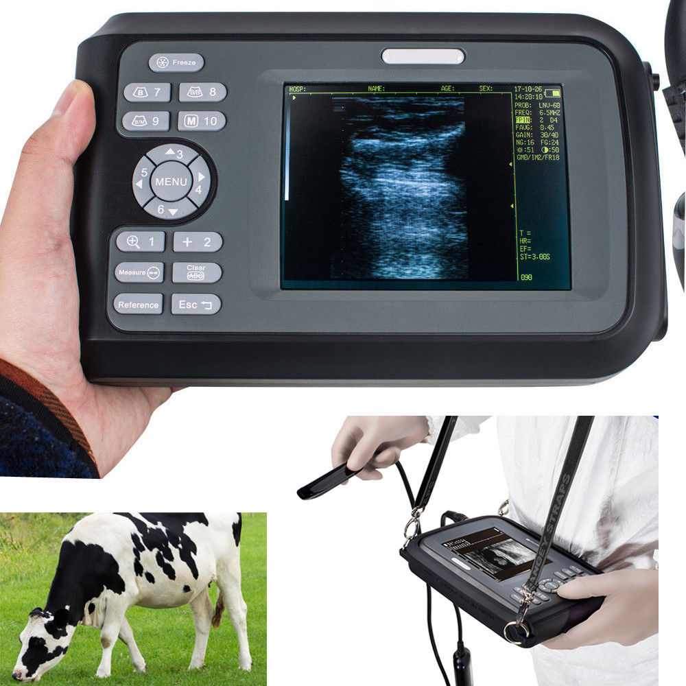 US Veterinary ultrasound scanner Machine Animals Pregnancy Medical Rectal Probe 190891671479 DIAGNOSTIC ULTRASOUND MACHINES FOR SALE