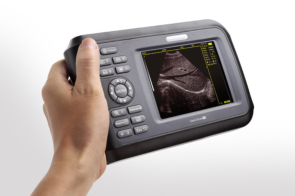 CE Portable Machine Digital Ultrasound Scanner 5.0mhz Micro-convex Cardiac Probe 190891055446 DIAGNOSTIC ULTRASOUND MACHINES FOR SALE