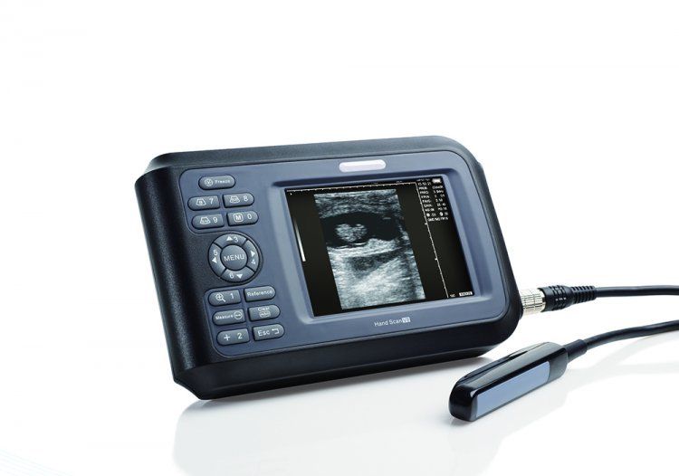 V8 model LCD Veterinary handheld palm ultrasound scanner Animal + rectal Probe 190891043399 DIAGNOSTIC ULTRASOUND MACHINES FOR SALE