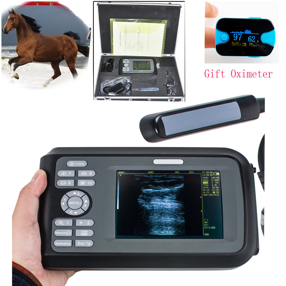 USA Veterinary Ultrasound Scanner Machine Animal Rectal Probe 64 image +Oximeter 190891057464 DIAGNOSTIC ULTRASOUND MACHINES FOR SALE