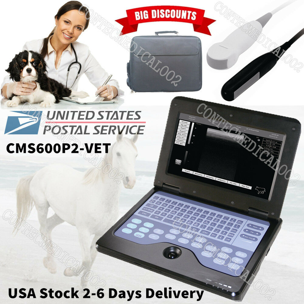 US Seller VET Veterinary Ultrasound Scanner Laptop Machine+ Rectal+Micro Convex 670924011996 DIAGNOSTIC ULTRASOUND MACHINES FOR SALE