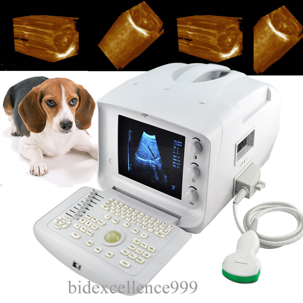 Top Seller Digital Ultrasound Scanner Convex Probe External 3D Station Care VET DIAGNOSTIC ULTRASOUND MACHINES FOR SALE